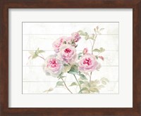 Framed Sweet Roses on Wood