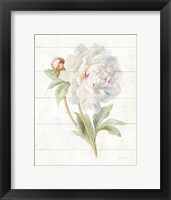 June Blooms II Framed Print