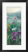 Cosmos at Dawn III Framed Print