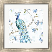 Framed 'Peacock Allegory III White' border=