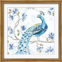 Framed Peacock Allegory IV White