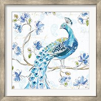 Framed Peacock Allegory IV White
