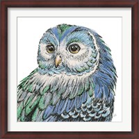 Framed Beautiful Owls I Peacock Crop
