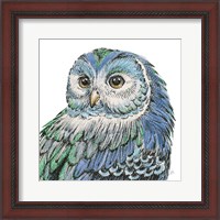 Framed Beautiful Owls I Peacock Crop