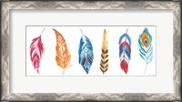 Framed Rainbow Feathers II