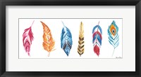 Rainbow Feathers II Framed Print