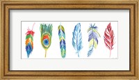 Framed Rainbow Feathers I