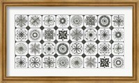 Framed Patterns of the Amazon XIX
