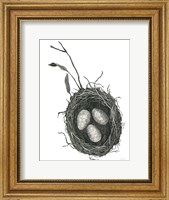 Framed Springtime Nest III