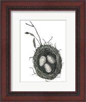 Framed Springtime Nest III