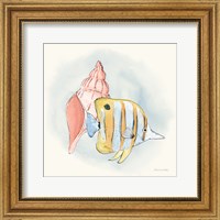 Framed Sea Life I