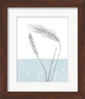 Framed Wheat