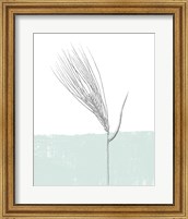 Framed Barley