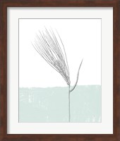 Framed Barley