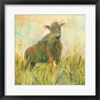 Framed Grazer