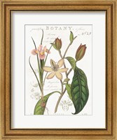 Framed Vintage Floral III Neutral