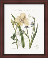 Framed Vintage Floral II Neutral