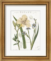 Framed Vintage Floral II Neutral