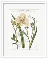 Framed Vintage Floral II Neutral