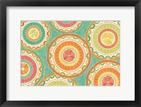 Citrus Splash XII Framed Print