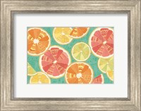 Framed Citrus Splash XI