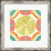 Framed 'Citrus Splash VIII' border=