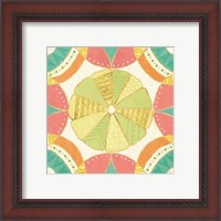 Framed 'Citrus Splash VIII' border=