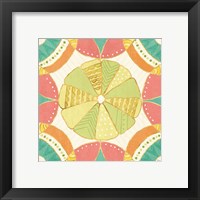 Framed 'Citrus Splash VIII' border=