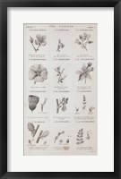 Framed Conversations on Botany X