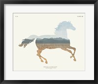 American Southwest Horse Framed Print