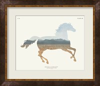 Framed 'American Southwest Horse' border=
