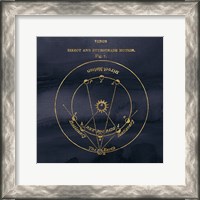 Framed Geography of the Heavens IX Blue Gold