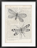 Framed Vintage Dragonflies on Newsprint