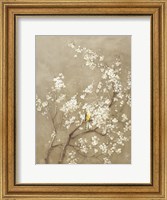 Framed White Cherry Blossom I Neutral Crop Bird