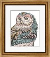 Framed Beautiful Owls I Pastel