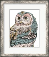 Framed Beautiful Owls I Pastel
