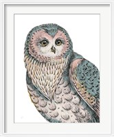 Framed Beautiful Owls IV Pastel