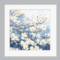 Framed Dogwood Blossoms II Indigo