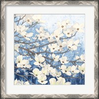 Framed Dogwood Blossoms II Indigo