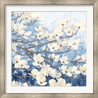 Framed Dogwood Blossoms II Indigo