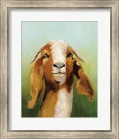 Framed Got Your Goat v2