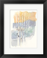 Framed Aspens II