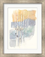 Framed Aspens II