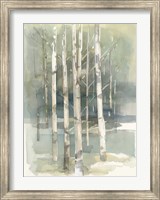 Framed Birch Grove I