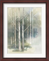 Framed Birch Grove II