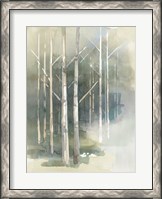 Framed Birch Grove II