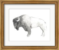 Framed Bison Dark