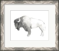 Framed Bison Dark