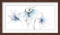 Framed Blue Graphite Floral Trio