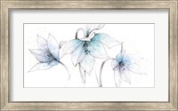 Framed Blue Graphite Floral Trio